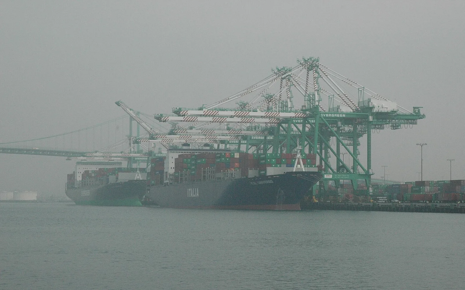 Container ship and cranes at the Port of Los Angeles Evergreen terminal.